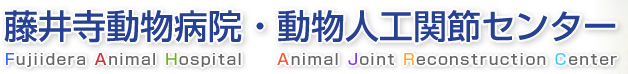 藤井寺動物病院 -Fujiidera Animal Hospital- | 動物人工関節センター -Animal Joint Reconstruction Center -