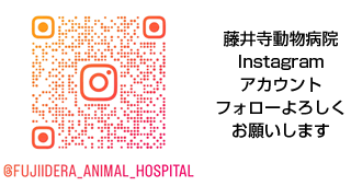 藤井寺動物病院　Instagramアカウント　フォローよろしくお願いします