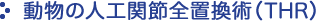 動物の人工関節全置換術（THR）