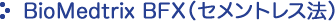 BioMedtrix BFX（セメントレス法）