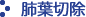 肺葉切除