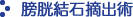 膀胱結石摘出術