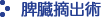 脾臓摘出術