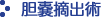 胆嚢摘出術