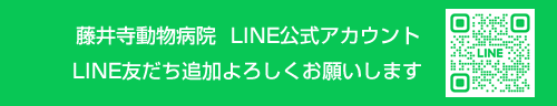 藤井寺動物病院　LINE公式アカウント　LINE友達追加よろしくお願いします
